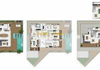 Terreno, 180 m² - Foto 18